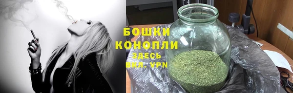 трава Армянск