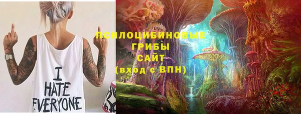эйфоретик Аркадак