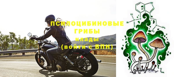 трава Армянск