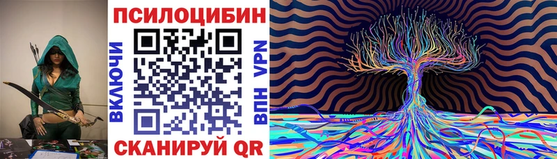 хочу наркоту Оханск Псилоцибиновые грибы Psilocybe